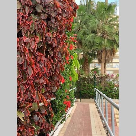 Apartament Jardines Del Sur, Ocean View Buzanada Zewnętrze zdjęcie