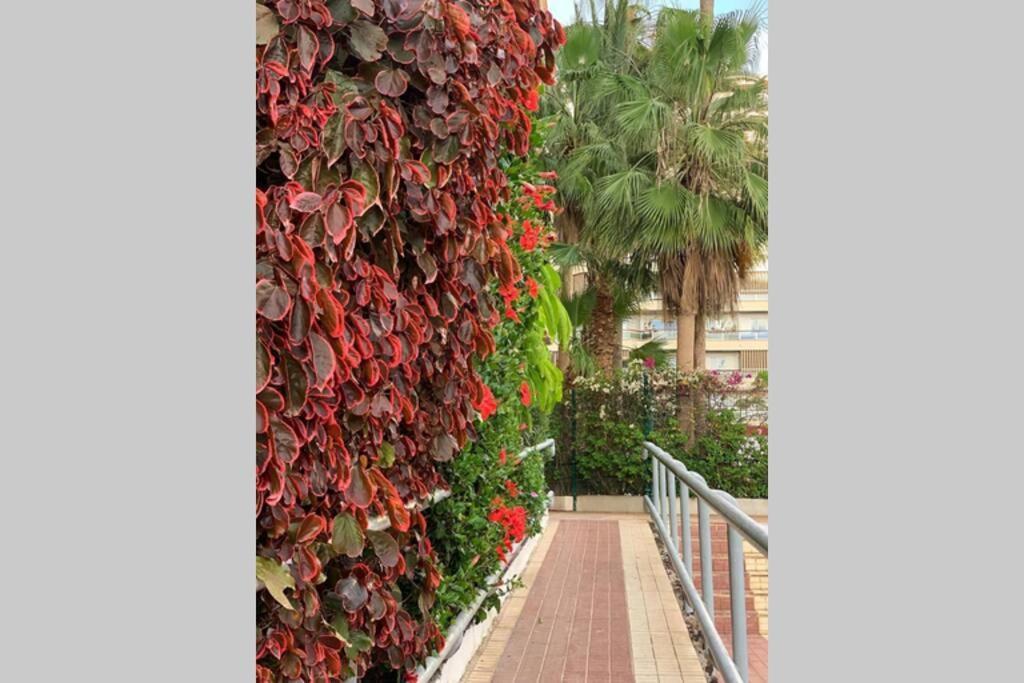 Apartament Jardines Del Sur, Ocean View Buzanada Zewnętrze zdjęcie